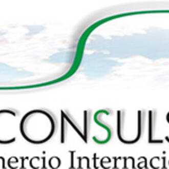 CONSULS Comercio Internacional