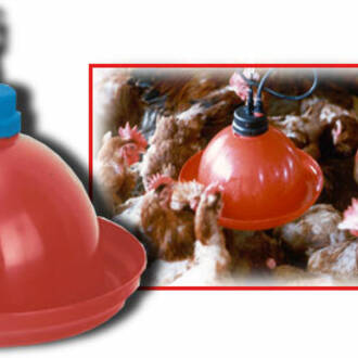 Comederos y accesorios de aves