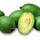 FEIJOA