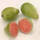 GUAYABA