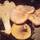 Chantarela (cantharellus cibarius)