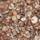 Senderuela (Marasmius oreades)